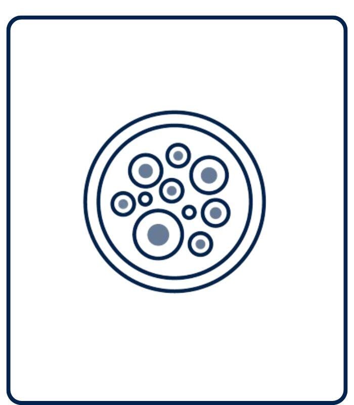 Colony forming unit assay 