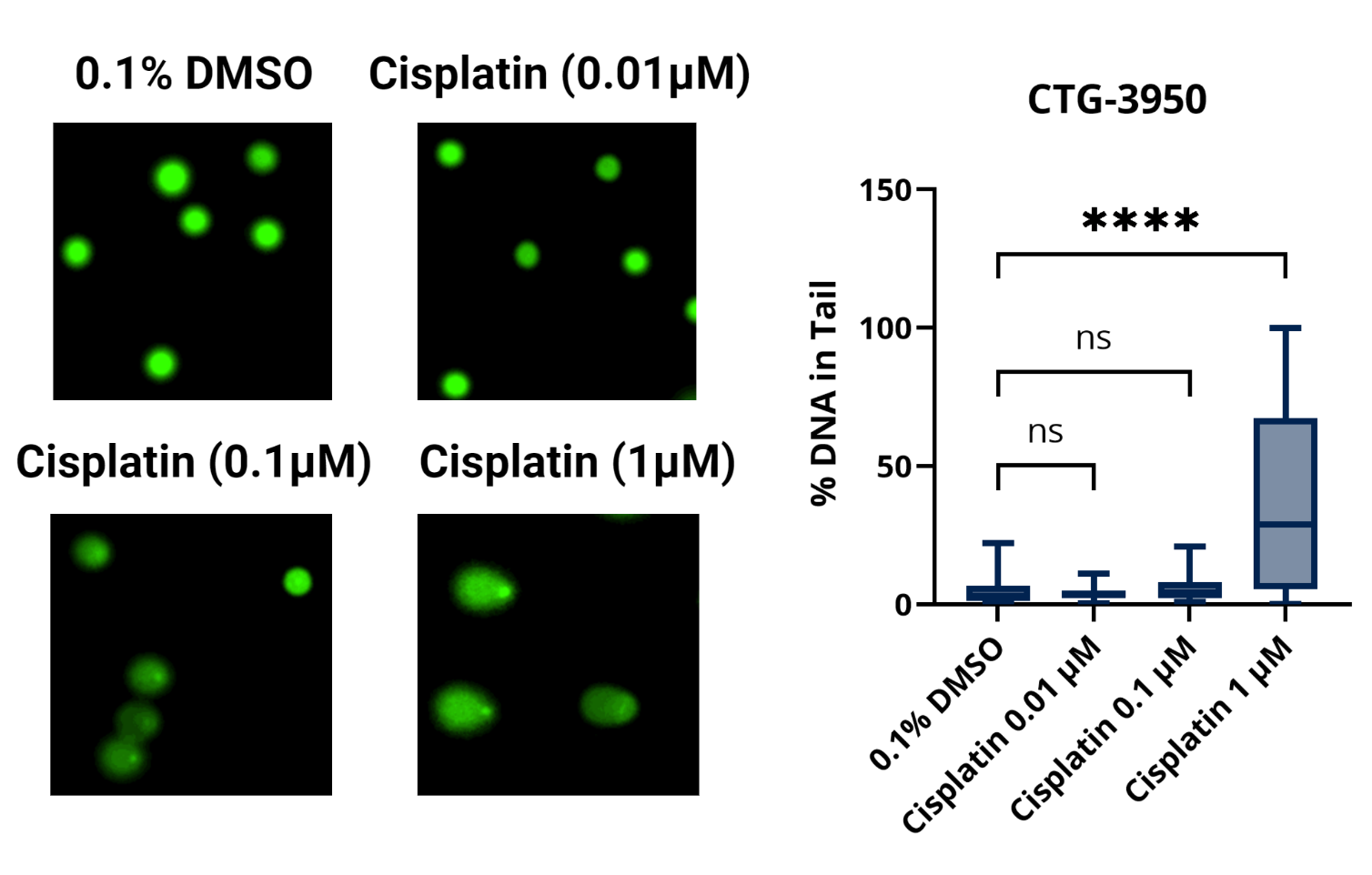 Comet Assay_April 2023 For Landing page