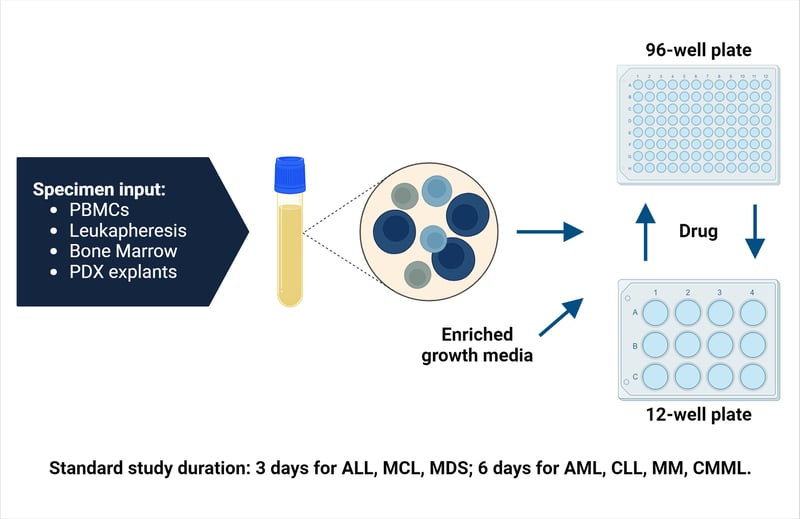 Copy of Heme VitroScreen Workflow + MDS & CMML