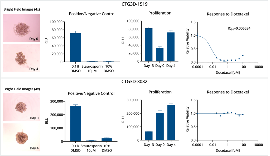 gastric cancer drug response data 