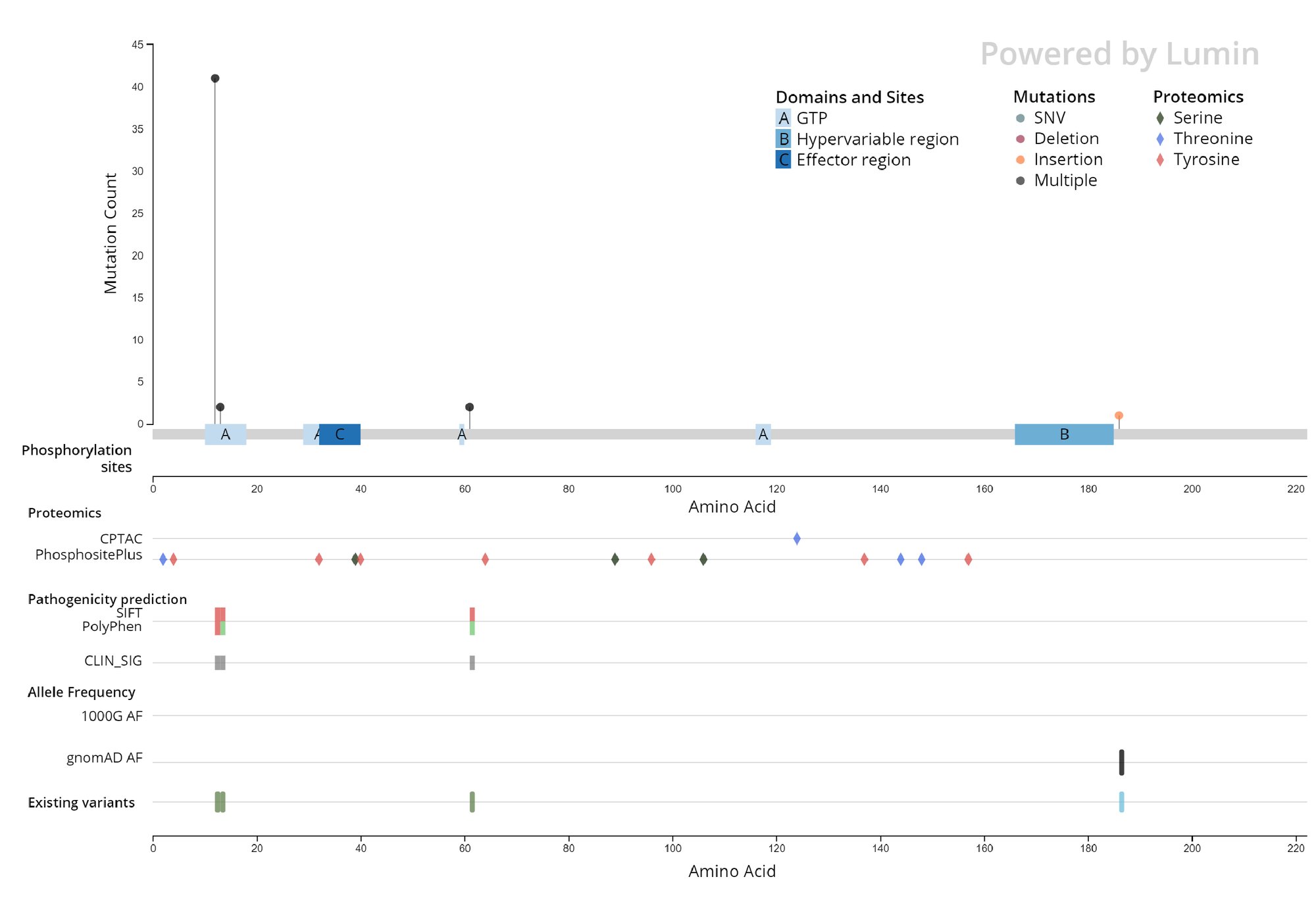 KRASmut In Vivo Screen_Mutation Map_May24