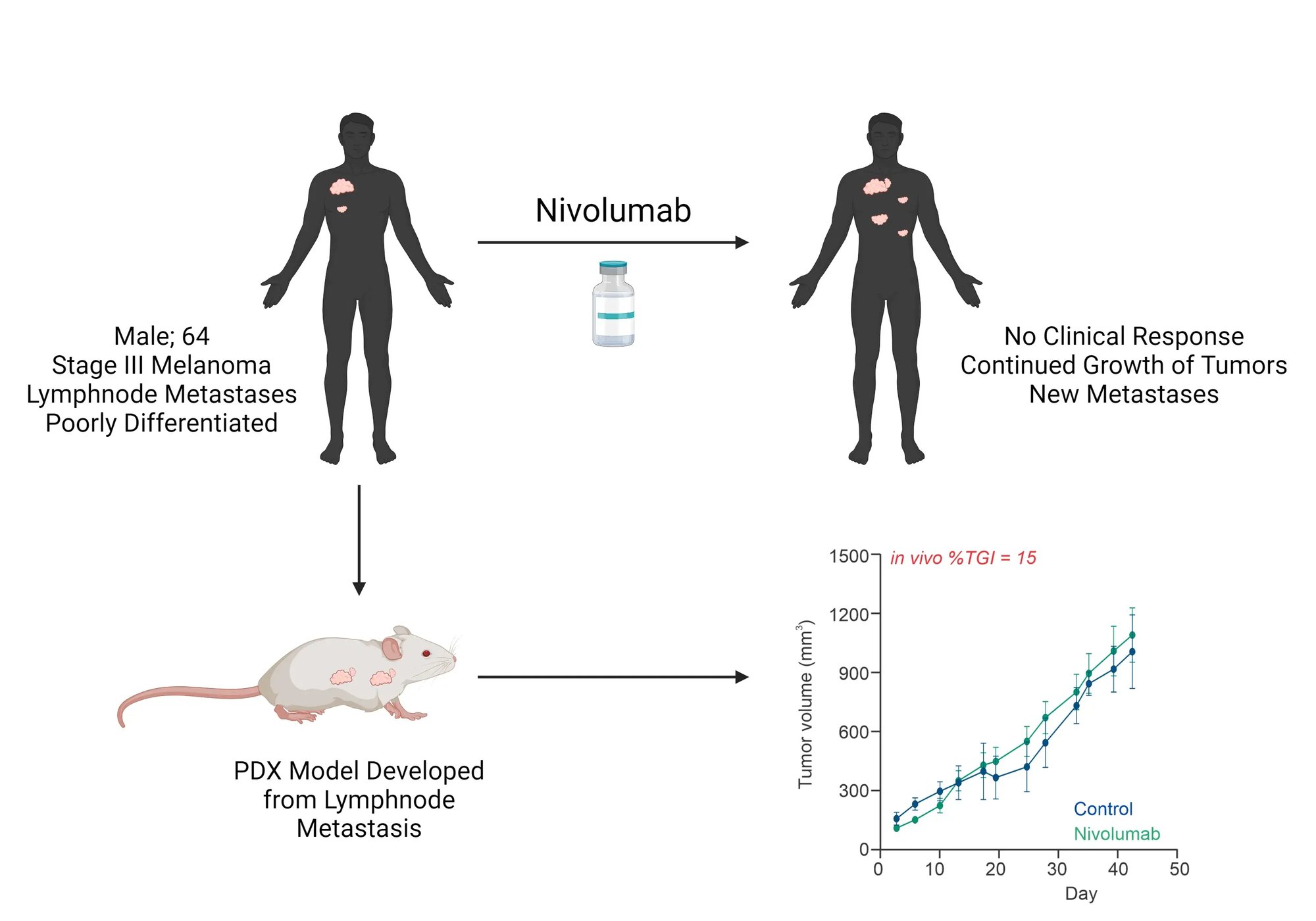 Melanoma In Vivo - Clinical Correlation 1