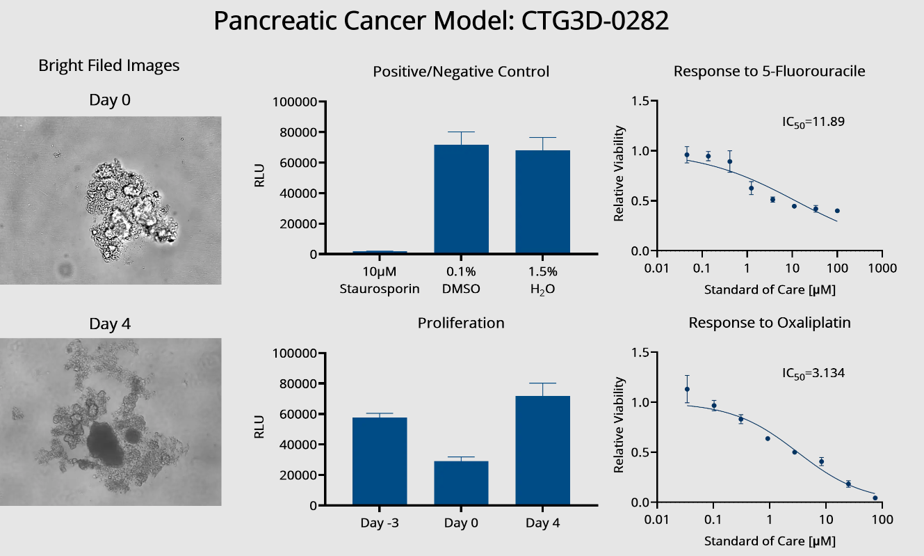 Pancreatic cancer drug response data