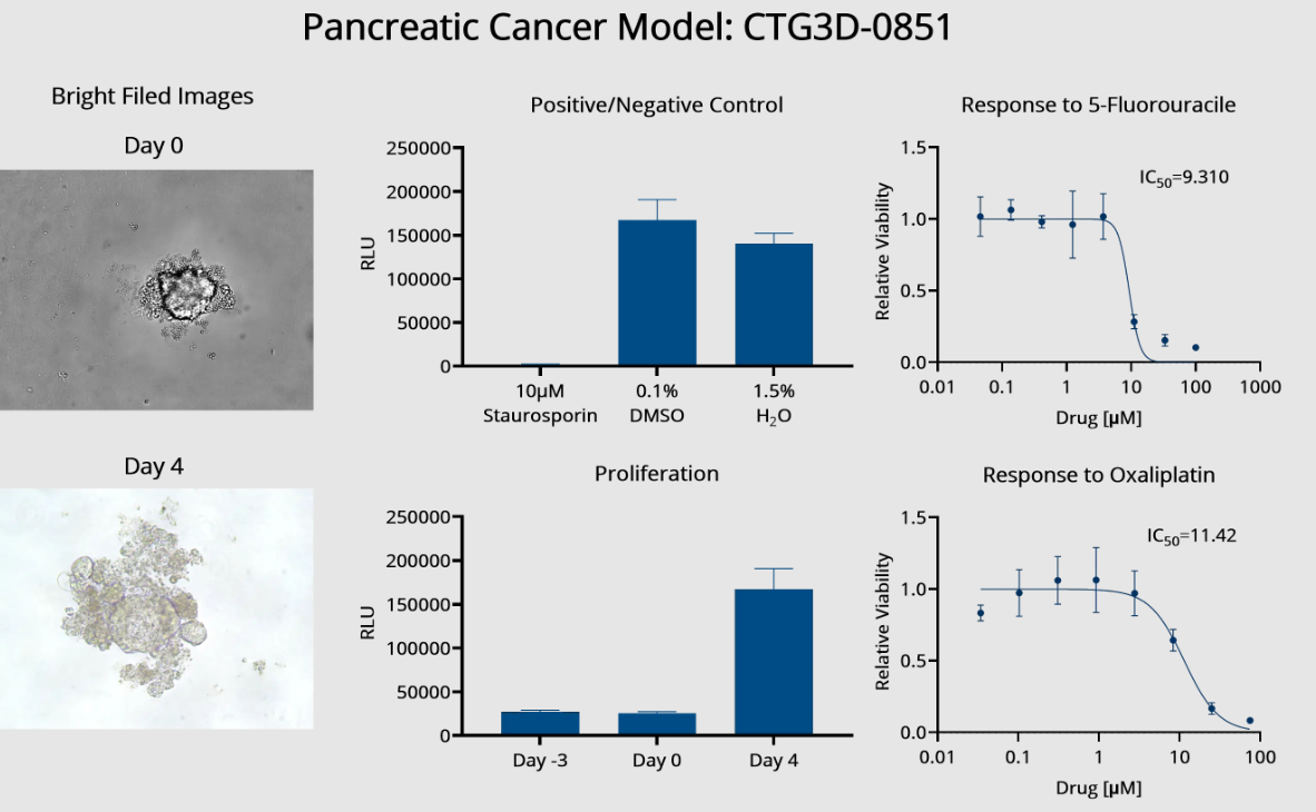 pancreatic tumor models data 