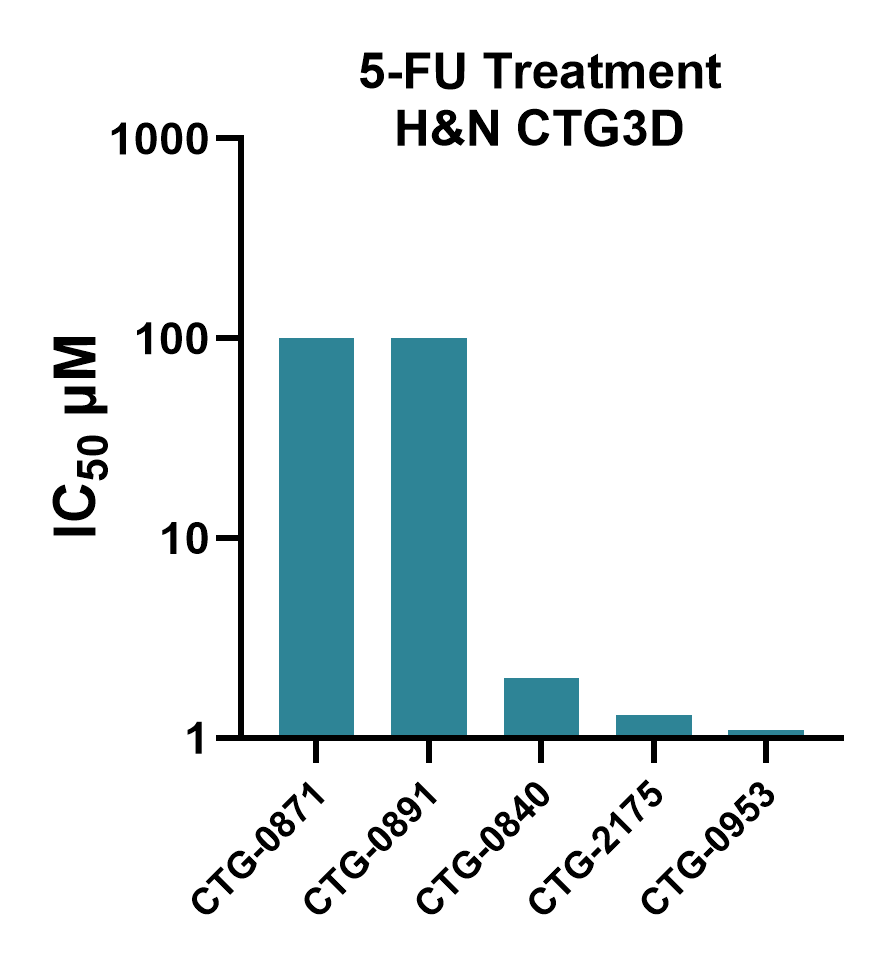 H&N 5-FU