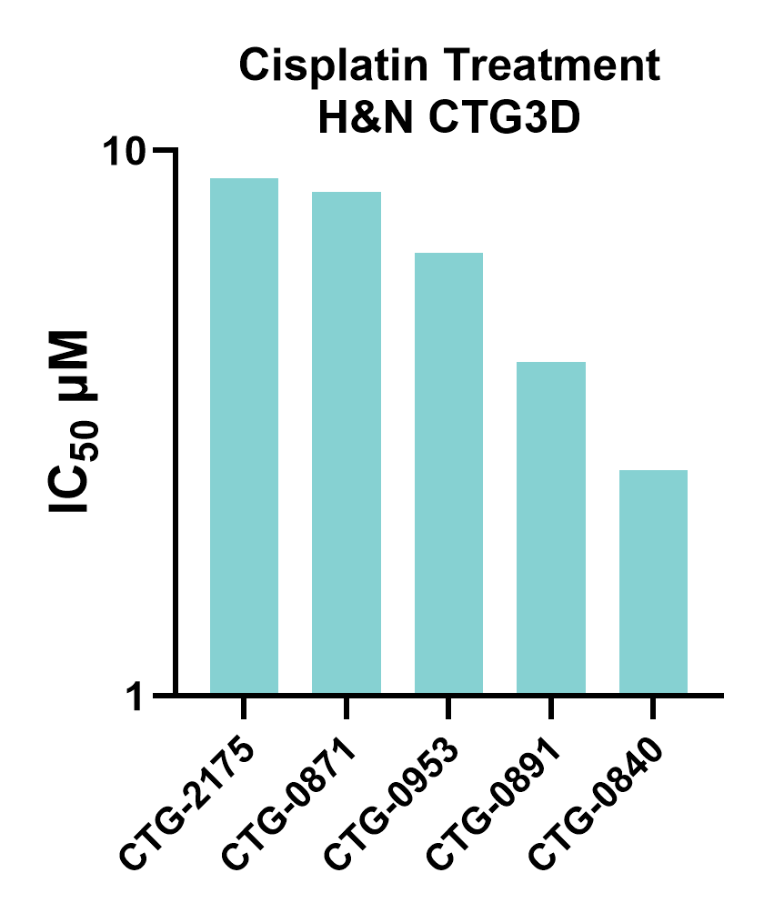 H&N Cisplatin